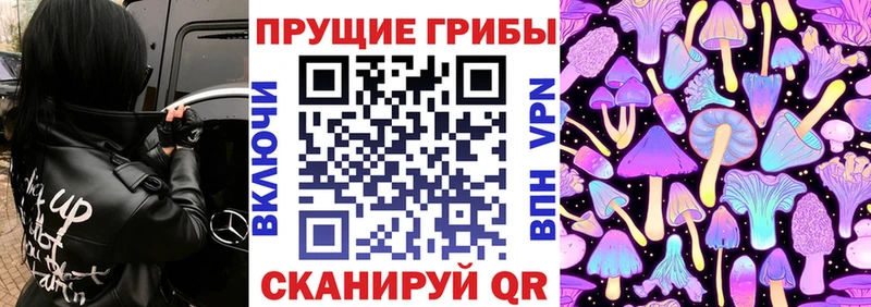 Псилоцибиновые грибы прущие грибы  Пролетарск 